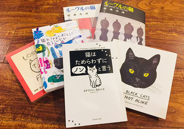 LIGHT WORKS WEB Magazine コラム：猫に学ぶ猫式ライフ