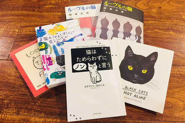 LIGHT WORKS WEB Magazine コラム：猫に学ぶ猫式ライフ