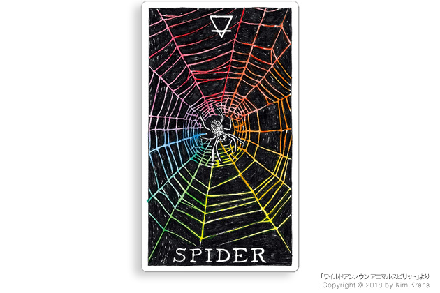 SPIDER　クモ