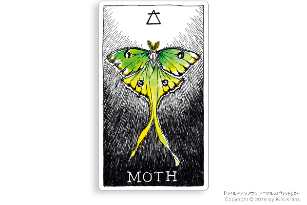MOTH ガ