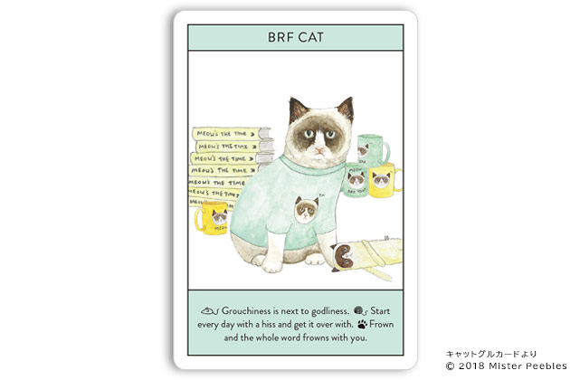 【BRF CAT / グランピーキャット】